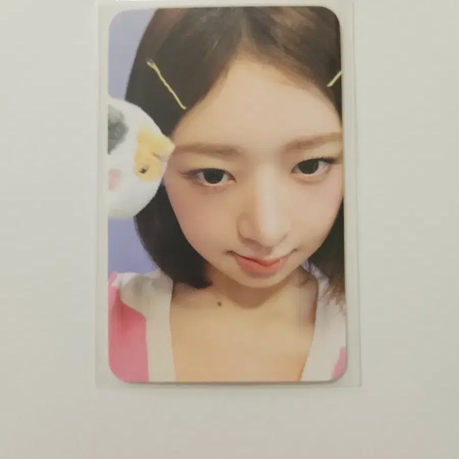 아이브 레이 에버랜드 입장 엠디 MD 특전 포카 미니브 포토카드분철