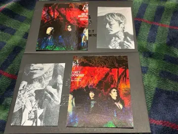 DIR EN GREY MORTAL DOWNER 쿄 스티커 세트