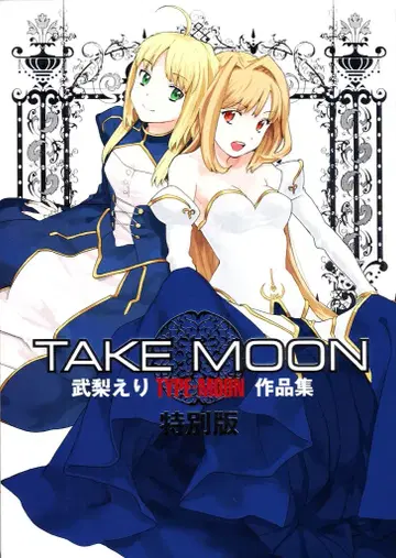 이치진샤 DNA 메디아 코믹스 SPECIAL 타케나시 에리 TAKE MOON 타케나시 에리 TYPE-MOON 작품집 특별판 (코믹+책자+DVD+상자)