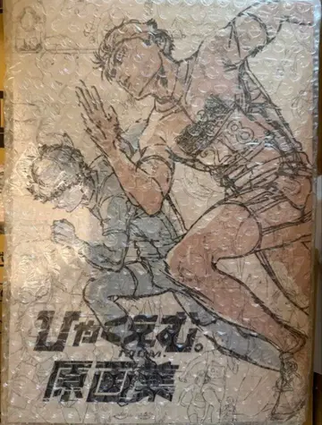 [미개봉 새상품] 백엠 원화집