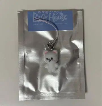 Stray Kids 팬미팅 미니 참 지니렛