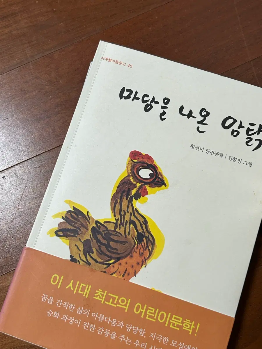 마당을 나온 암탉 동화책