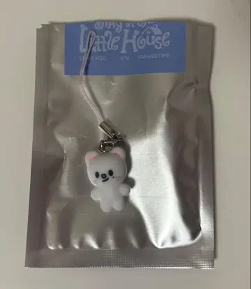 Stray Kids 팬미팅 미니 참 지니레트