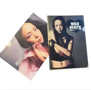 아무로 나미에 25주년 기념 클리어 파일 2장 세트
