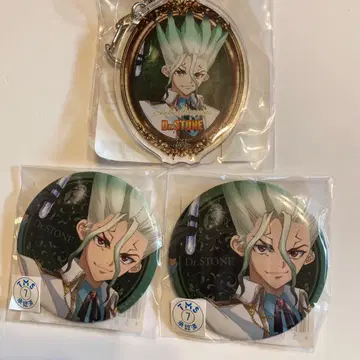 Dr.STONE 이시가미 센쿠 아크릴 키링 캔뱃지 최애복권 신데렐라