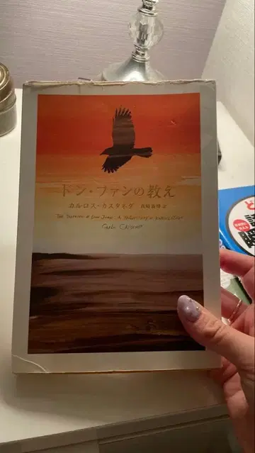 돈 판의 가르침 카를로스 카스타네다