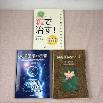 48 후지모토 렌푸 저서 감수 3권 세트 북신회 장부경락학 노트 동양의학의 우주