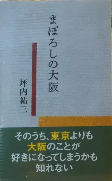 피아 츠보우치 유조 환상의 오사카