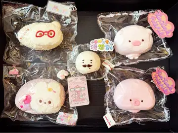 스퀴즈 5세트