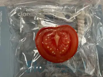 SloMood 만만리얼 mini Blind Box 토마토