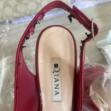 DIANA 다이애나 샌들 레드 스트랩