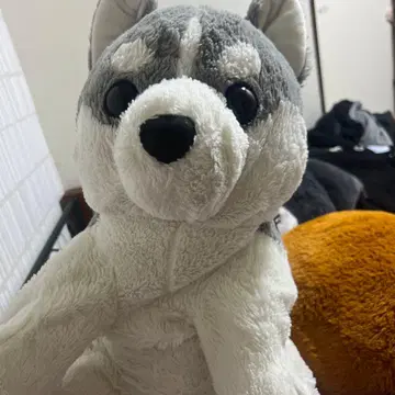 허스키 봉제 인형