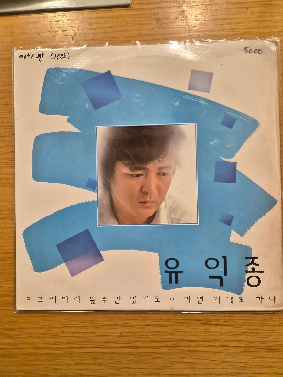 유익종 lp