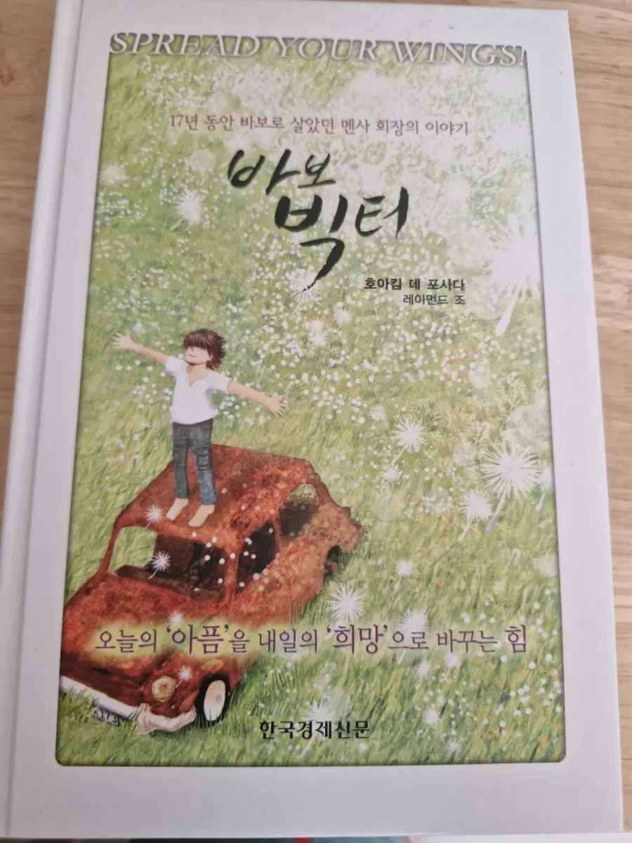 바보 빅터(책)