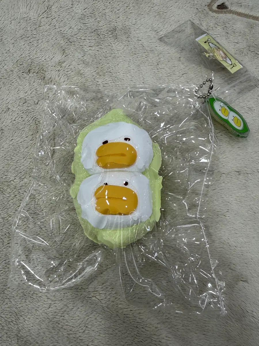 테디베어 완두콩오리