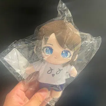 미나세 이노리 POPUP 누이노리 마루이