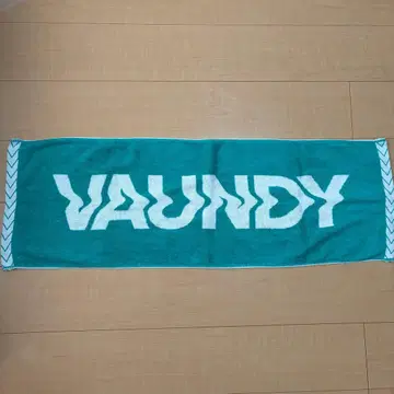 Vaundy 타월 터콰이즈 그린