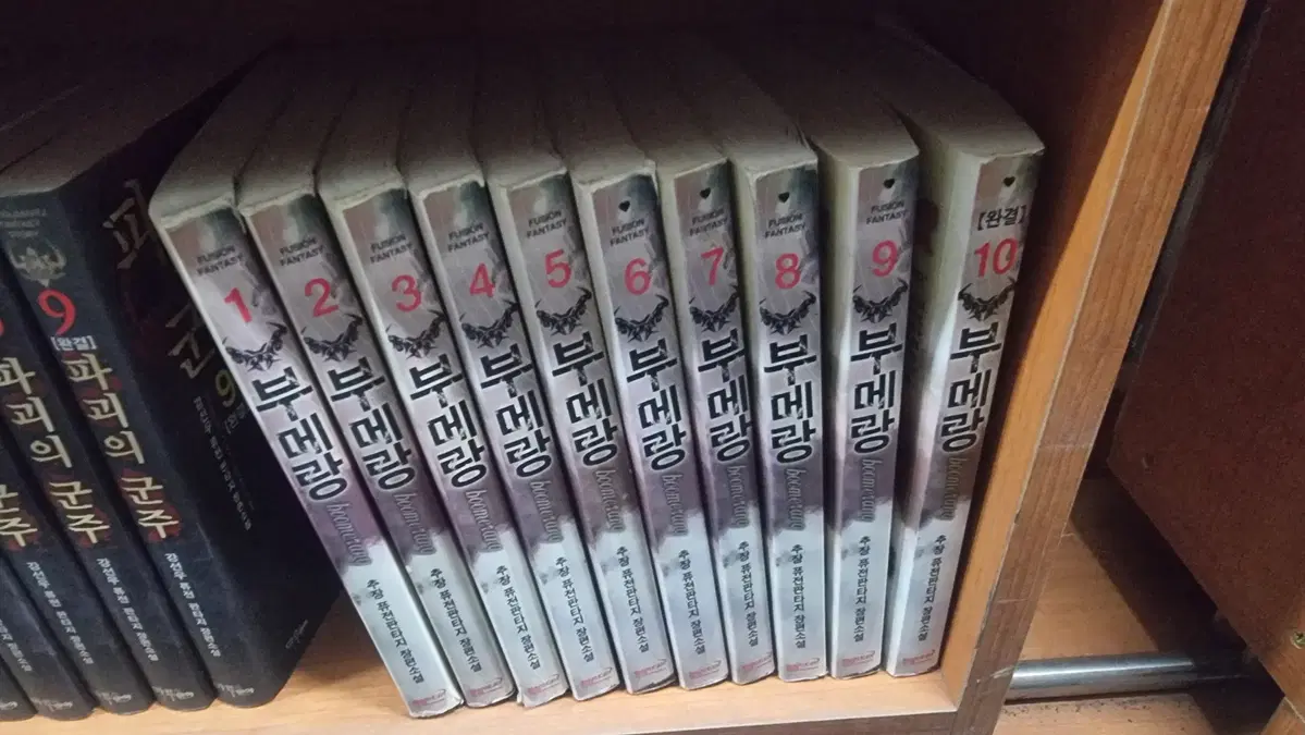 부메랑 1-10 완 추장 퓨전판타지 소설