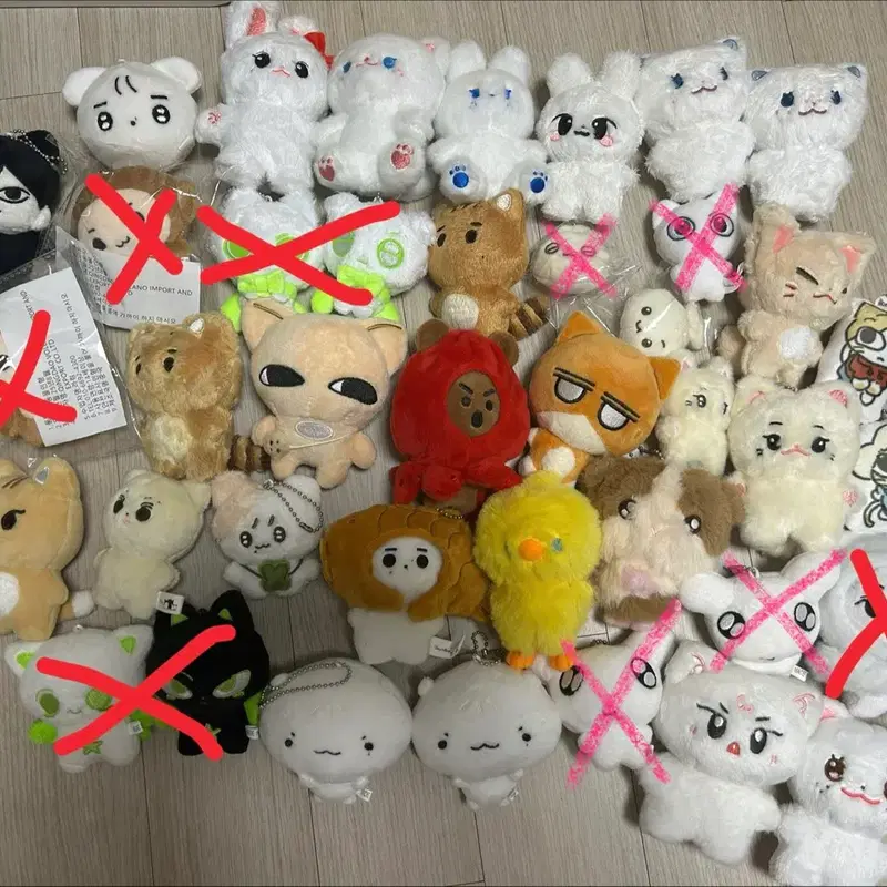 아이돌 인형 판매 띵멍이 뽁냥이 마물쭈 양어린녀석 샤오링바오 뽁삐 룽기니 훈댕이 예삐냥