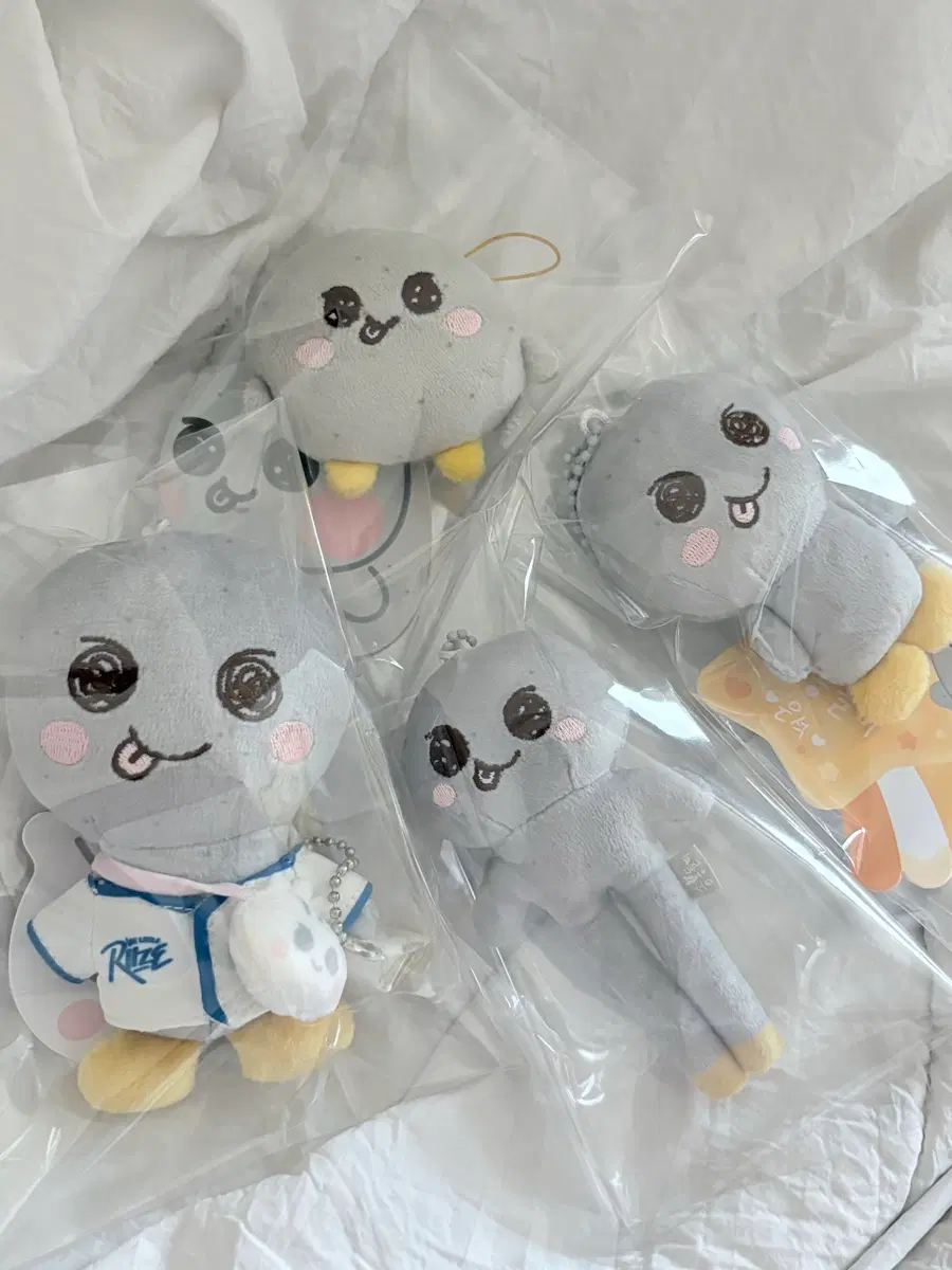 라이즈 송용돌이
