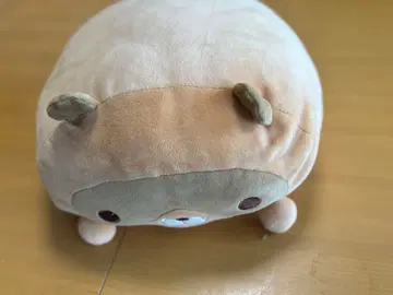 너구리 봉제 인형