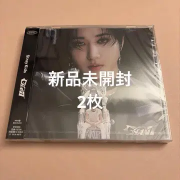 straykids GIANT 한정반 CD 2장