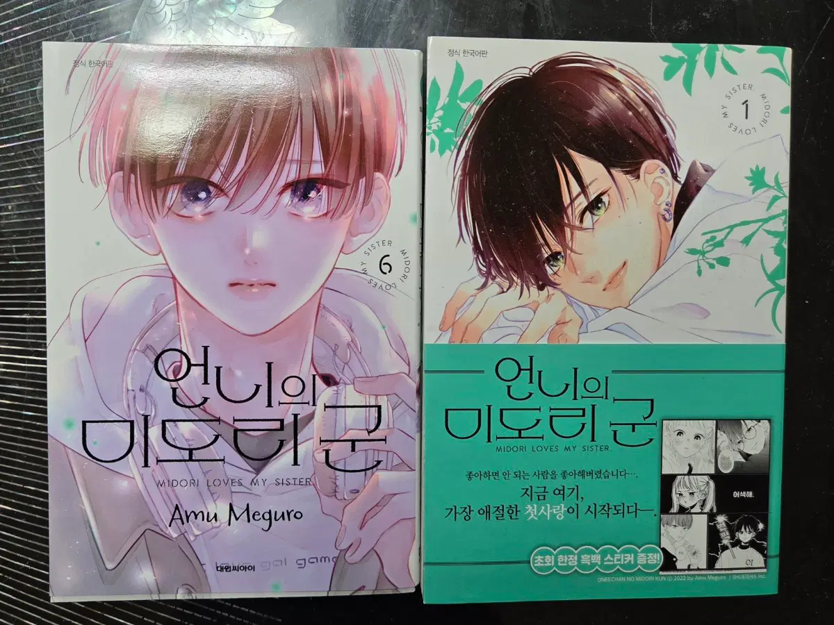언니의 미도리 군 1권 6권
