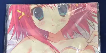 WIZARD GIRL AMBITIOUS 미츠루기 아스카 침대 시트