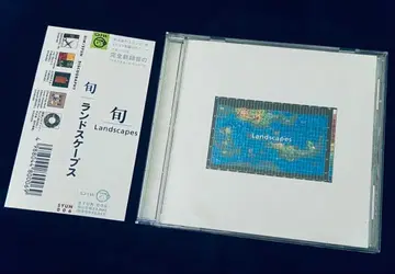 히라사와 스스무 순 Landscapes / 랜드스케이프스 P-MODEL 오비 포함
