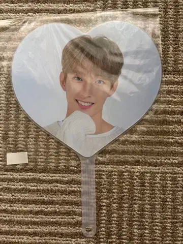 SEVENTEEN DK 부채 Carat land