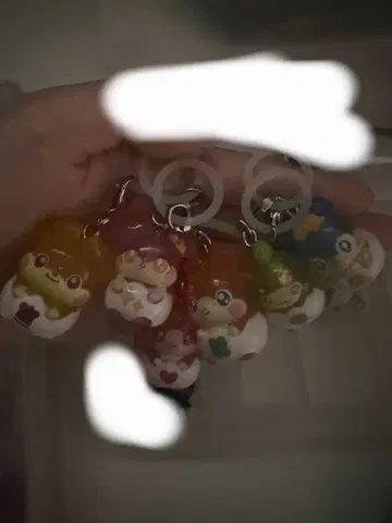 코코타마 메지루시 액세서리 컴프 세트