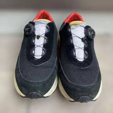 pg NEW DAWN