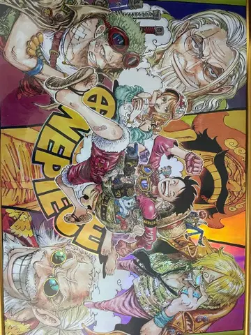 300장 한정판 ONE PIECE 오로라 포스터