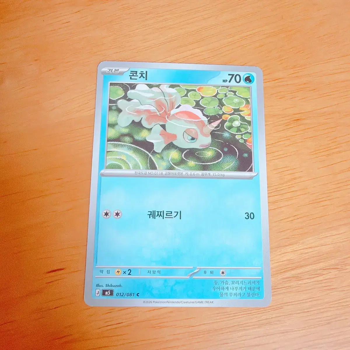 포켓몬 카드 콘치