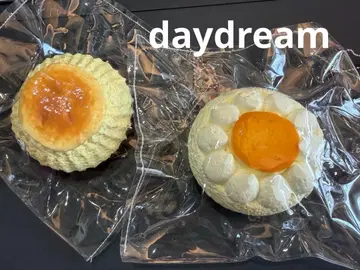 스퀴즈 묶음 판매 daydream dd
