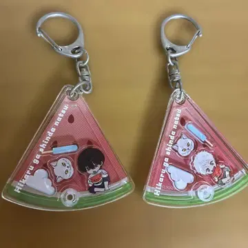 빛이 죽은 여름 아크릴 키링 2개 세트