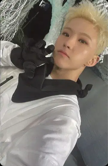 SEVENTEEN SECTOR 17 HOSHI 트레이딩 카드 파랑