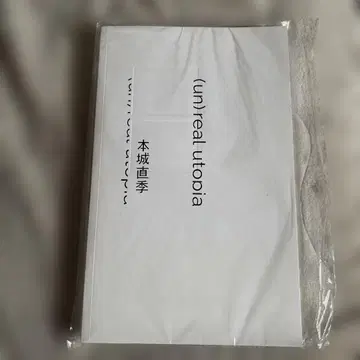혼조 나오키 전시 도록 [ (un) real utopia ]