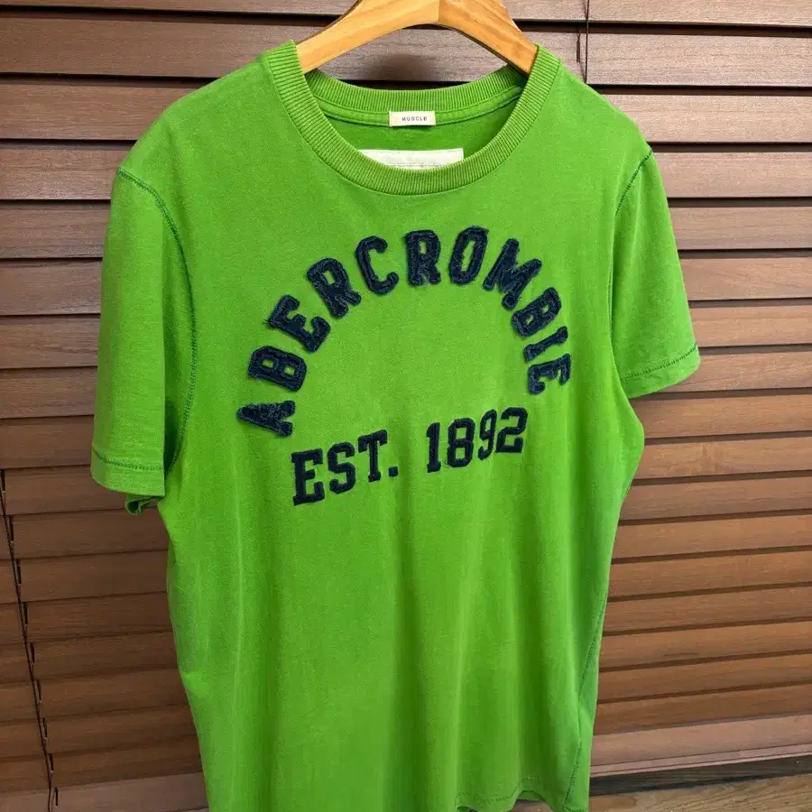 아베크롬비 앤 피치 y2k 빈티지 로고 그린 티셔츠 Abercrombie & Fitch