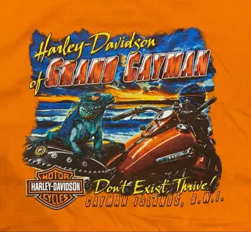 Harley-Davidson 양면 프린트 T셔츠