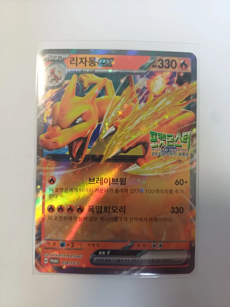 리자몽 ex 성도지방이야기