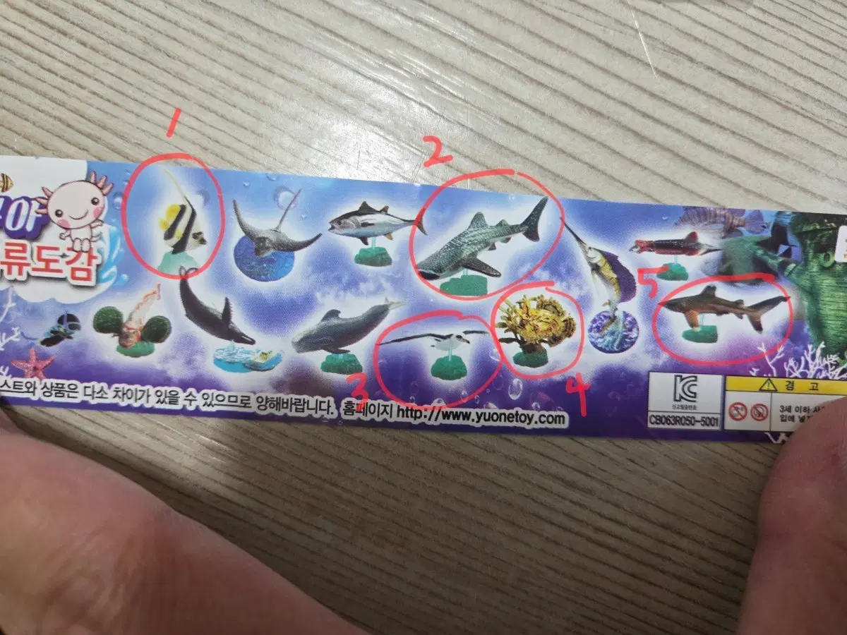 생물 가챠 5종 일괄 판매