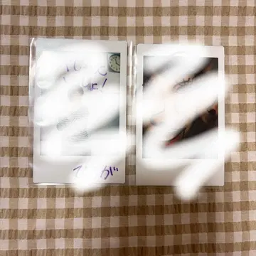 사쿠라시메지 Sakurashimeji 폴라로이드
