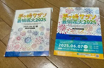 치카사키 서던 아트 불꽃놀이 2025 팜플렛 (공식 서던 올스타즈 레어)