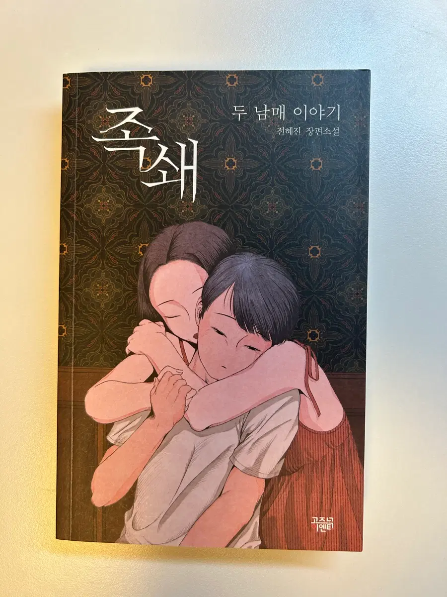 족쇄 책