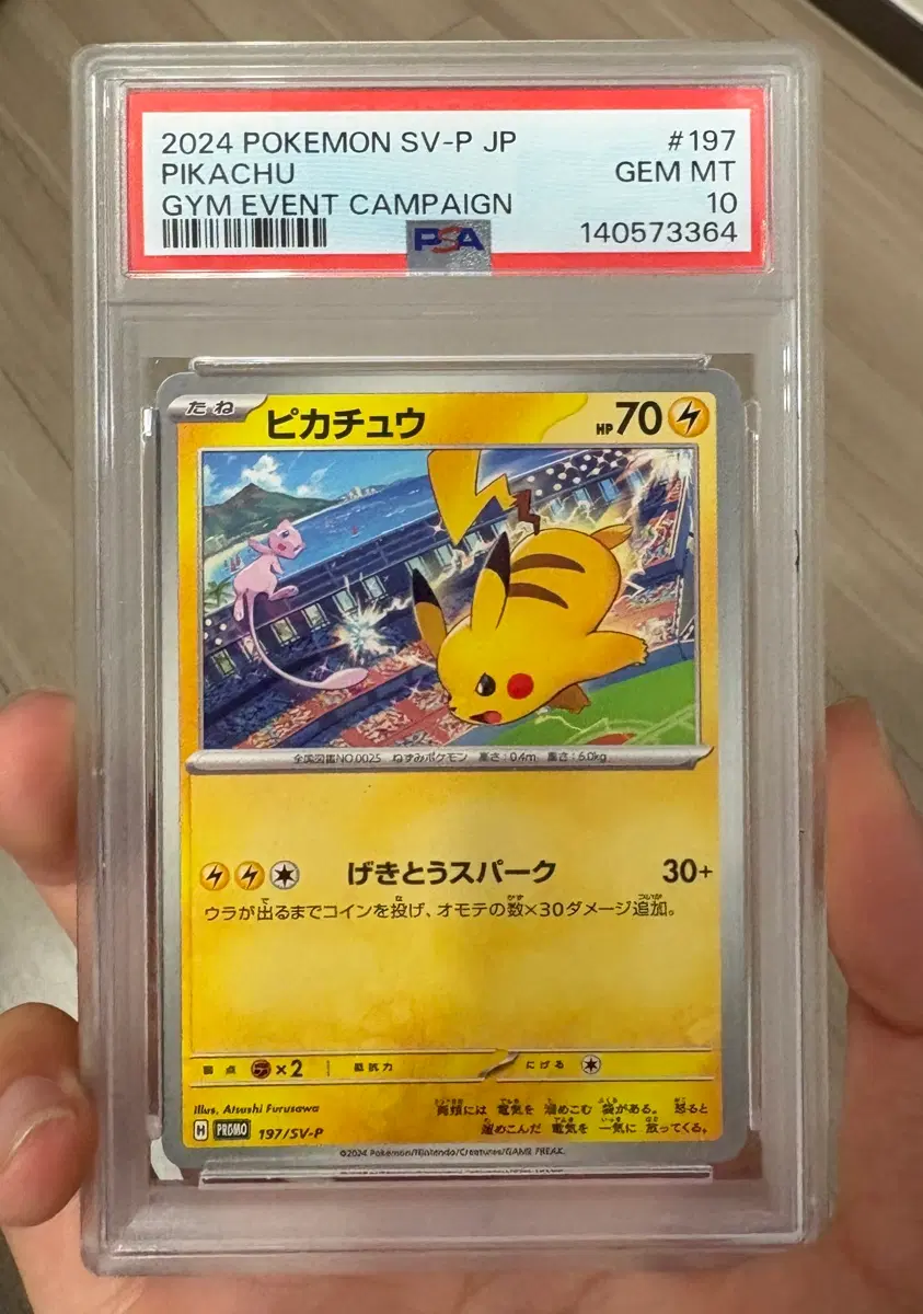 피카츄 짐프로모 일판 psa10