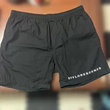 EFFLORESCENCE 숏팬츠 블랙 XL