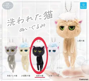씻은 고양이 봉제 인형 집 고양이 검은 고양이