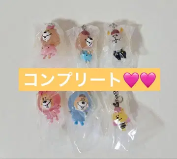 KUMATAN 쿠마탄 메지루시 액세서리 전 6종 가챠 컴프가챠