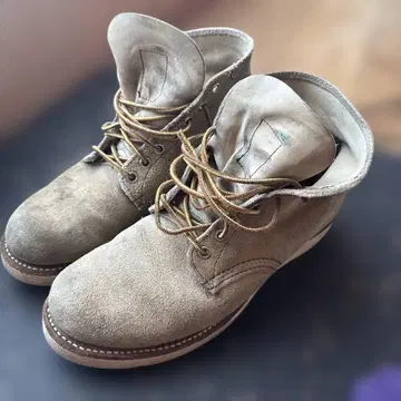 레드윙 아이리쉬 세터 8167 베이지